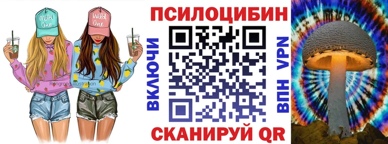 Галлюциногенные грибы Psilocybine cubensis  Купить где  Прокопьевск 